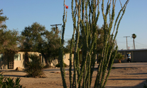 Twentynine Palms Apartment House Rental